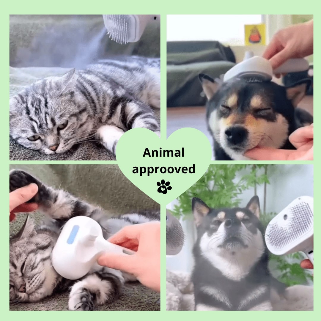 SteamPaw™ 3in1 Pet Hair Brush